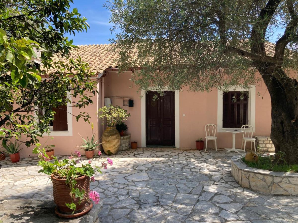 نساكيون Aliki'S Comfortable Holiday Apartments-Great Location المظهر الخارجي الصورة