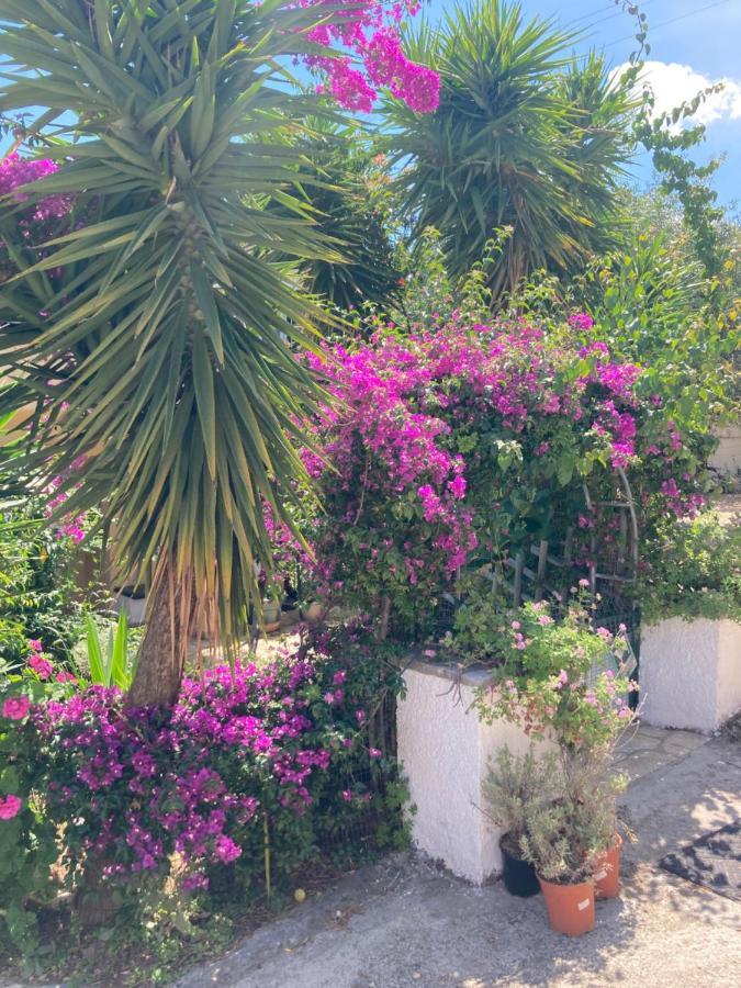نساكيون Aliki'S Comfortable Holiday Apartments-Great Location المظهر الخارجي الصورة