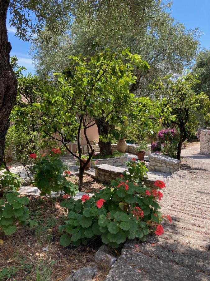 نساكيون Aliki'S Comfortable Holiday Apartments-Great Location المظهر الخارجي الصورة